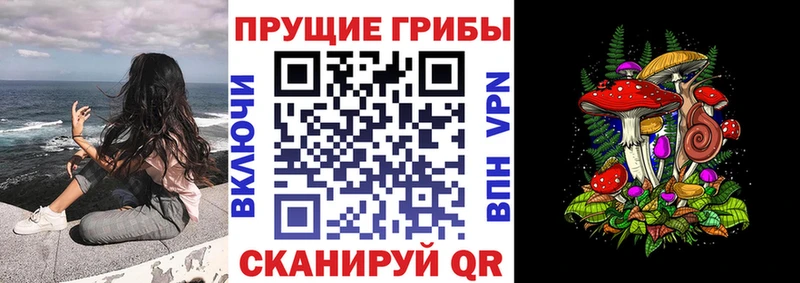 Галлюциногенные грибы Cubensis Белгород